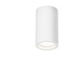 Потолочный светильник MAYTONI CONIK GYPS C003CW-01W-1