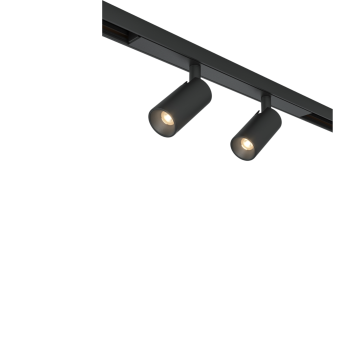 Трековый светильник MAYTONI FOCUS DUO BASITY TR176-1-2X3WTW-M-B